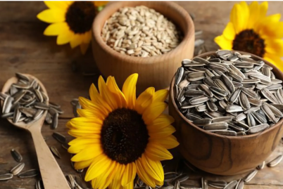Ăn hạt hướng dương có tốt không?